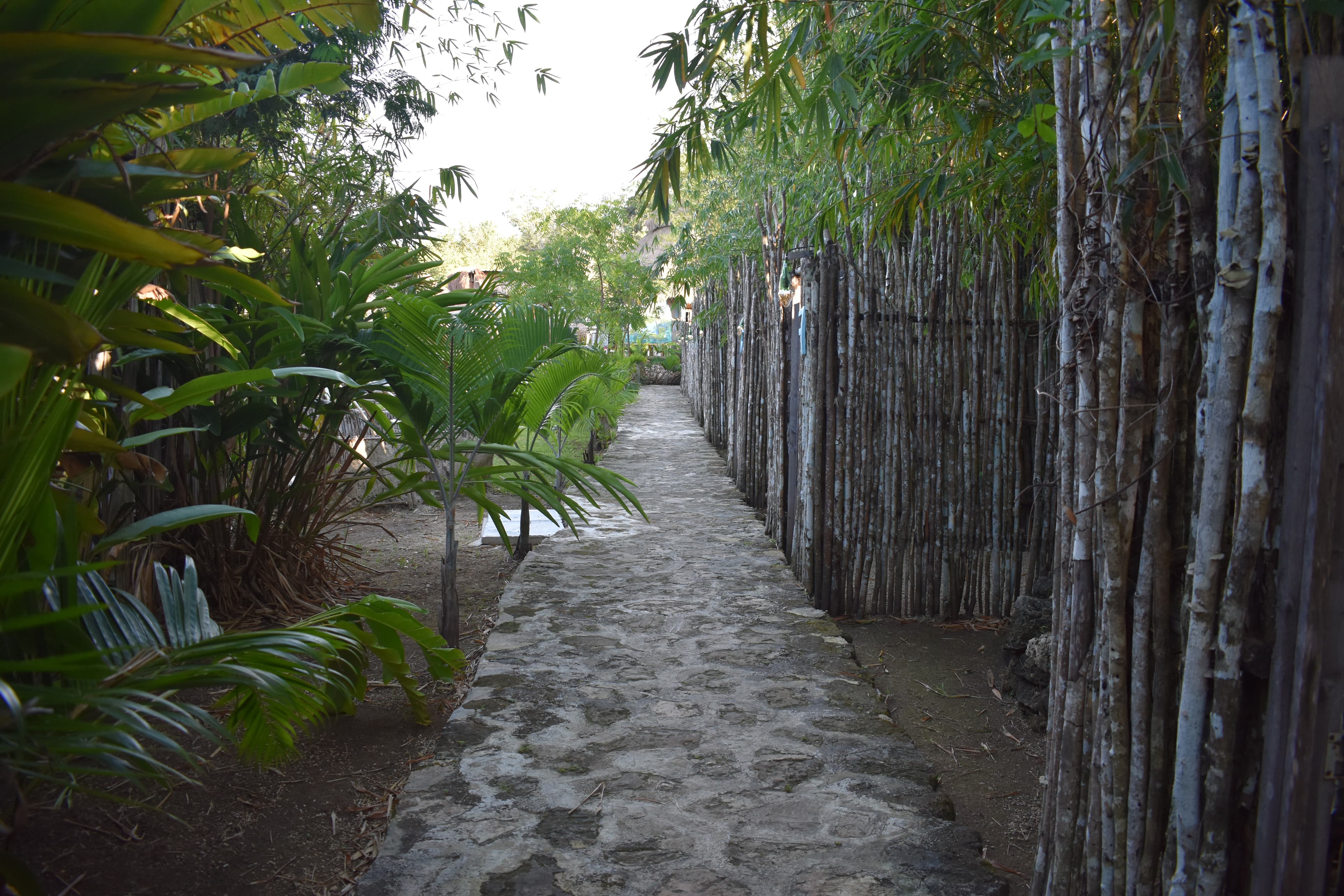 EMBAJADA UNIVERSAL: ESPÍRITU MARINO gallery image 3